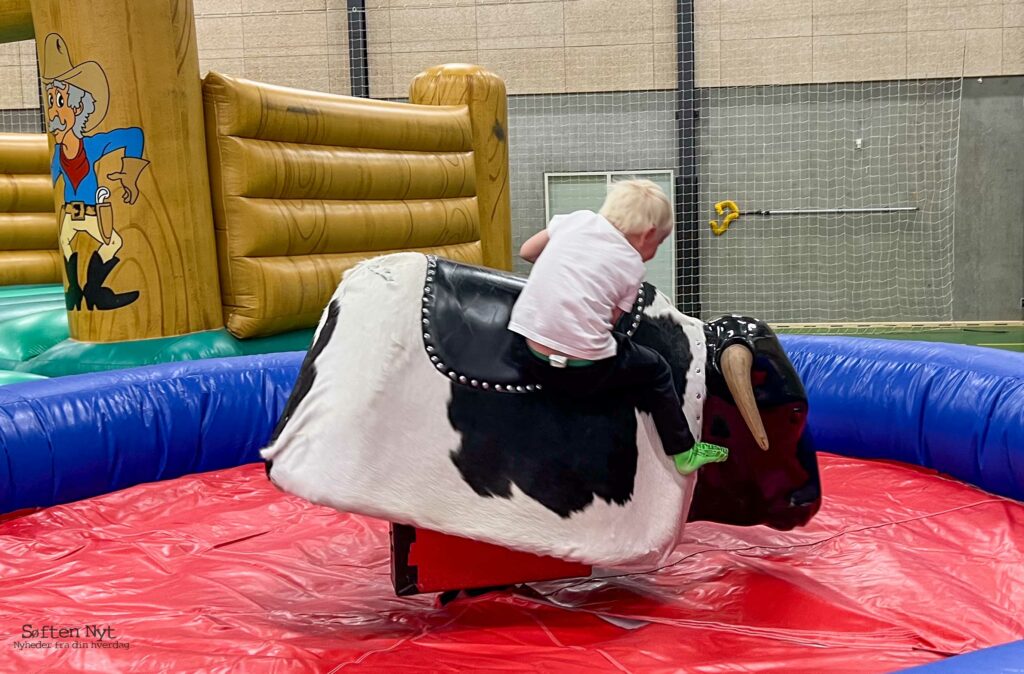 Populær rodeotyr - Søften Nyt - Foto: Anders Godtfred-Rasmussen.